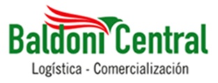 Logo Baldoni Central